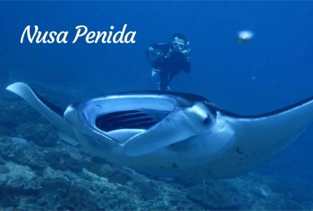Nusa Penida Nusa Penida